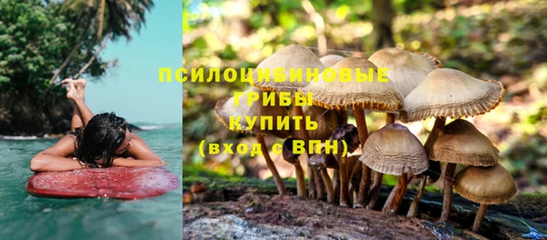 синтетический гашиш Надым
