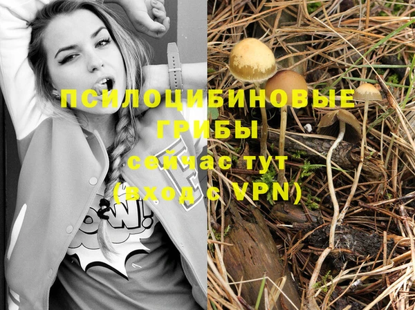 кокаин перу Михайлов