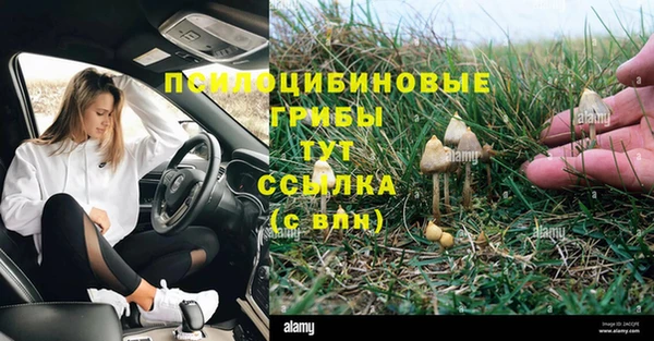 MESCALINE Михайловск