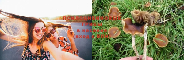 соль ск Михайловка