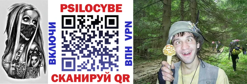 дарнет шоп  Фёдоровский  Псилоцибиновые грибы прущие грибы 